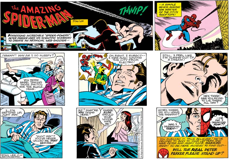 Peter & Mary Jane still MARRIED - in the daily comic strip - Spider-Man -  Comic Vine