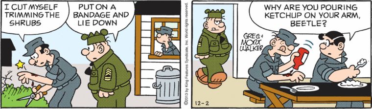 Cartoon Reality Beetle Bailey Porn - Beetle Bailey â€“ Page 152 â€“ The Comics Curmudgeon